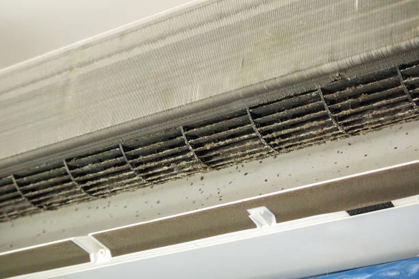 Best Air Vent Cleaning Services  in Homer City, PA